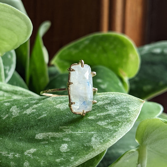 Claw setting rainbow moonstone and 14k ring