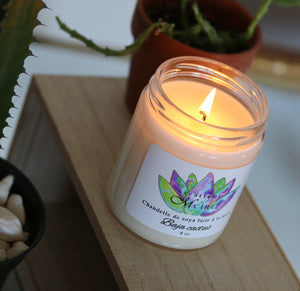 Baja Cactus candle