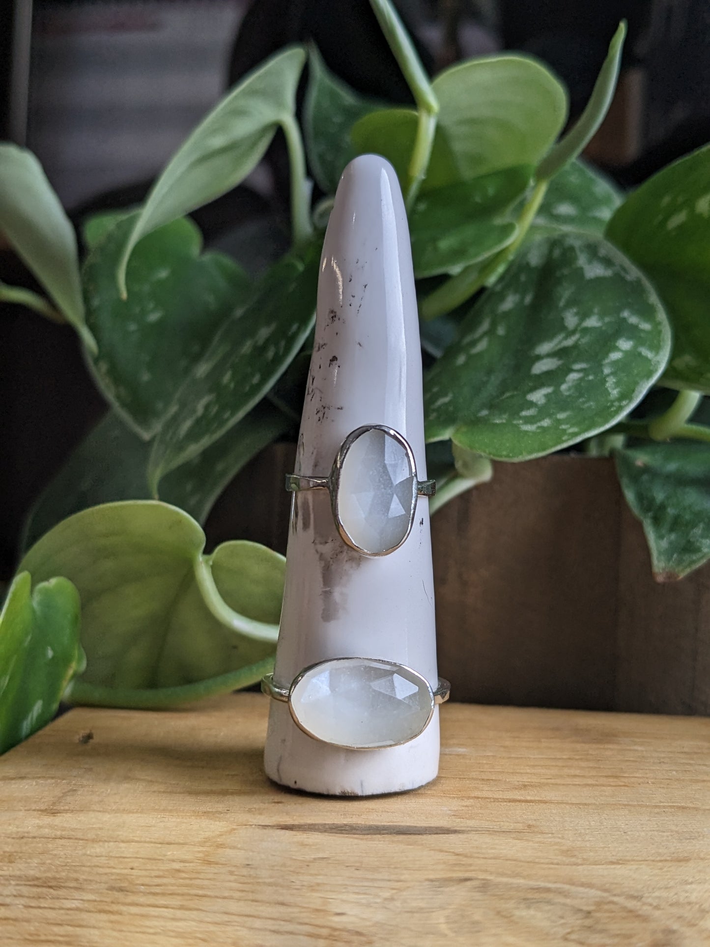 White Moonstone Ring - horizontal