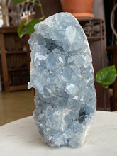 Load image into Gallery viewer, Celestite Druze