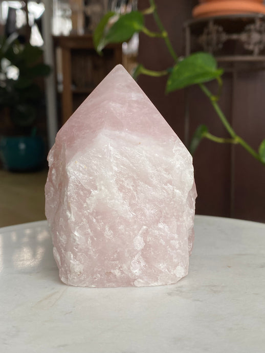 Rose Quartz Rough point L